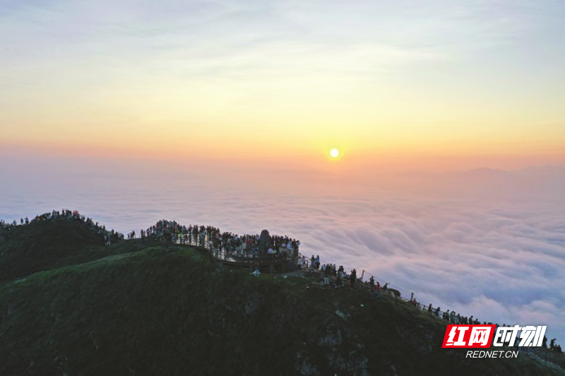 图片-1.jpg 图片-1.jpg